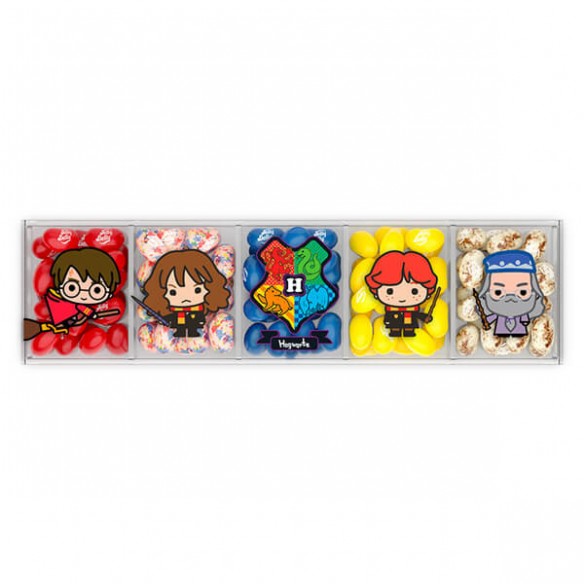 Harry Potter & Friends Acrylic Gift Box